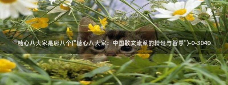 糖心vlog国产一区