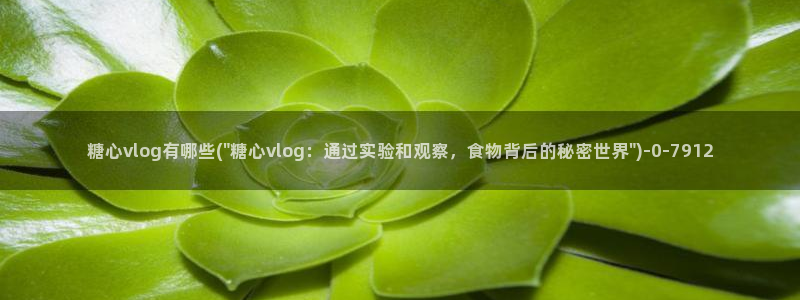 【糖心vlog