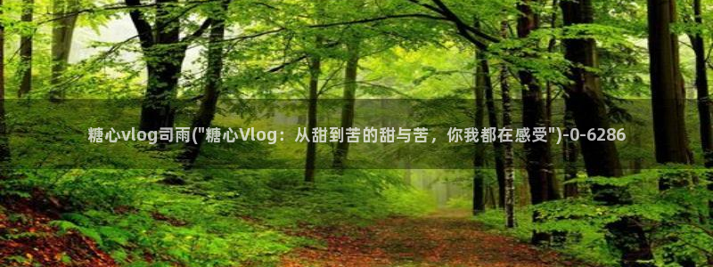糖心vlog18