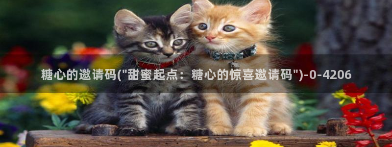 心糖vlog免费下载
