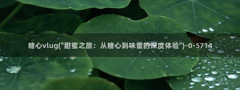 糖心 vlog 在线