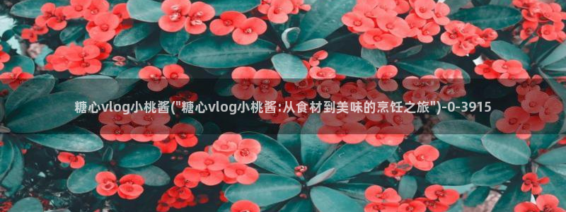 糖心vlog首页