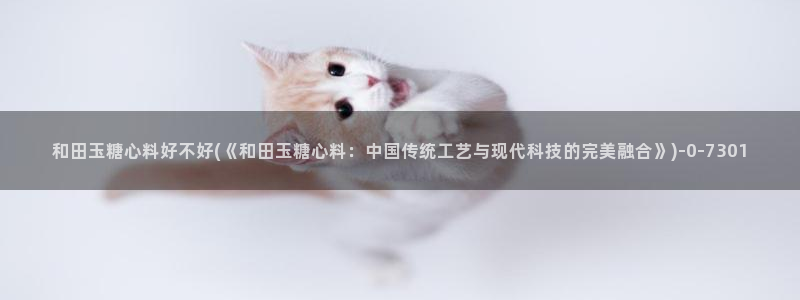 心糖vlogo
